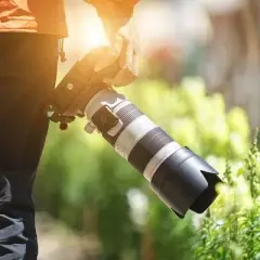 Jaki obiektyw tele wybrać, aby uzyskać najlepsze zdjęcia?