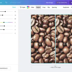 Jak zrobić efekt rozmazanego zdjęcia i uzyskać zachwycające bokeh