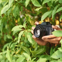 Co to jest jasny obiektyw i dlaczego warto go używać w fotografii
