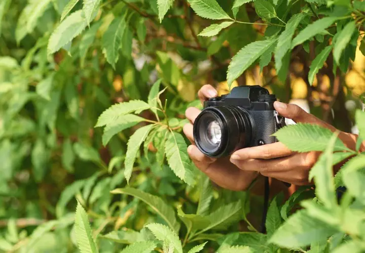Co to jest jasny obiektyw i dlaczego warto go używać w fotografii