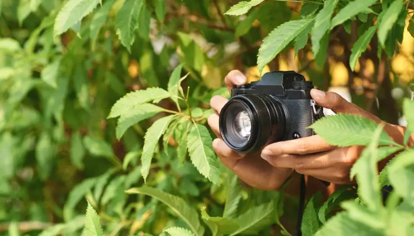 Co to jest jasny obiektyw i dlaczego warto go używać w fotografii