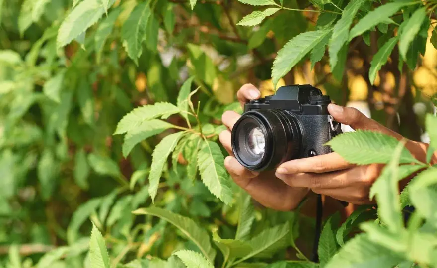 Co to jest jasny obiektyw i dlaczego warto go używać w fotografii