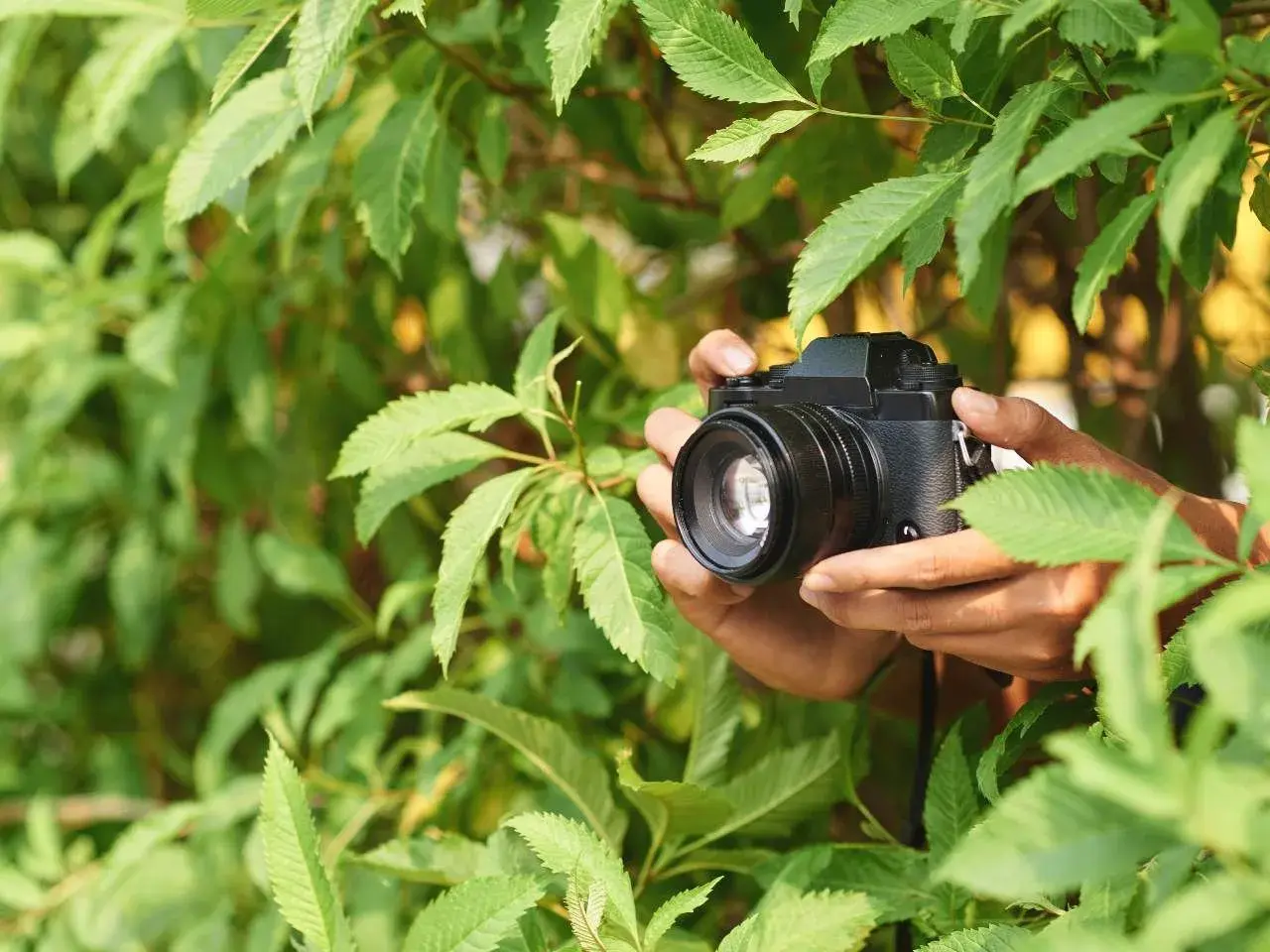 Co to jest jasny obiektyw i dlaczego warto go używać w fotografii